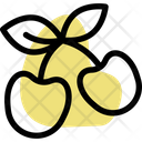 Cherries Icon