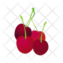 Cherry Fruit Berry Icon