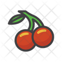 Cherry Fruit Fesh Fruit Icon