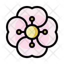 Cherry Blossom Peony Sakura Icon