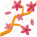 Cherry Blossom  Icon