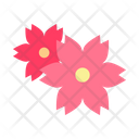 Flower Cherry Blossom Icon