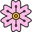 Cherry Blossom  Icon