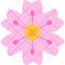 Cherry Blossom  Icon