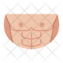 Chest Muscle  Icon