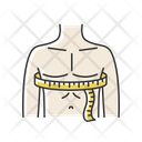 Chest Size Icon