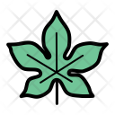 Chestnut Nature Leaf Icon