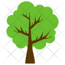 Chestnut Tree Aesculus Icon