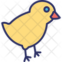 Chick Chicken Hen Icon