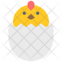 Chick Chicken Egg Egge Icon