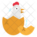 Chick Chicken Egg Icon