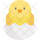 Chick Bird Egg Shell Icon
