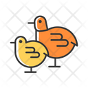 Chick Chicken Yellow Icon