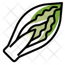 Chicory Icon