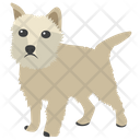 Chihuahua Icon