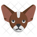 Chihuahua Icon