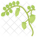 Chili Plant Icon