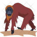 Chimpanzee Monkey Animal Icon