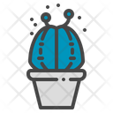 Chin Cactus Succulent Icon