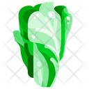 Chinese Cabbage Cabbage Vegetable Icon