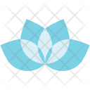 Chinese New Year Icon