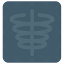 Chiropractic Anatomical Rib Cage Icon