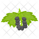 Chokeberry Blackberry Berry Fruit Icon