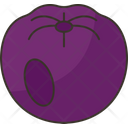 Chokeberry Icon