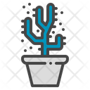Cholla Cactus Succulent Icon