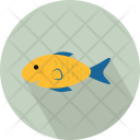 Chordata  Icon