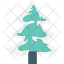 Pine Tree Fir Icon