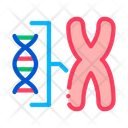 Biology Chromosome Gene Icon