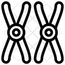 CHROMOSOME  Icon
