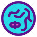 Cromozome Icon