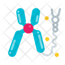 Chromosome Dna Biology Icon