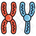 Chromosome Dna Gene Icon