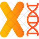 Chromosome Icon