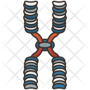 Chromosome Icon