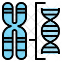 Chromosome Structure Gene Icon