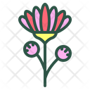 Chrysanthemum Flower Floral Icon
