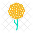 Chrysanthemum Flower Icon