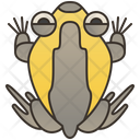 Chubby Frog Icon