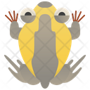 Chubby Frog Icon