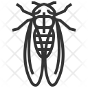 Cicada Icon