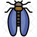 Cicada Entomology Insects Icon