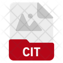 Cit File Format Icon