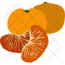 Citrus Satsuma Tree Mandarin Icon