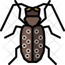 Citrus Long Horned Beetle  Icon