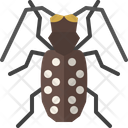 Citrus Long Horned Beetle  Icon