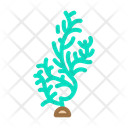 Cladophora Icon